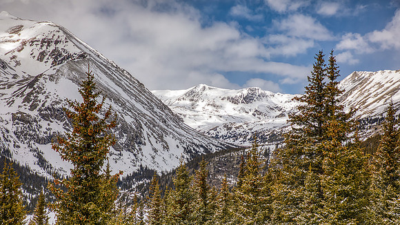Snow covered mountain peaks and green pine trees under partly cloudy skies