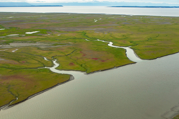 16.4 MB, 4760 x 3173: Rivers and inlets cut through the green and red tundra as they flow to the ocean in Alaska.