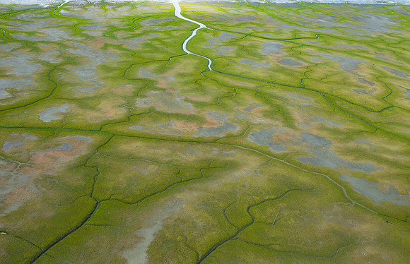 21.2 MB, 4896 x 3157: Rivers and inlets cut through the green barren tundra in Alaska.