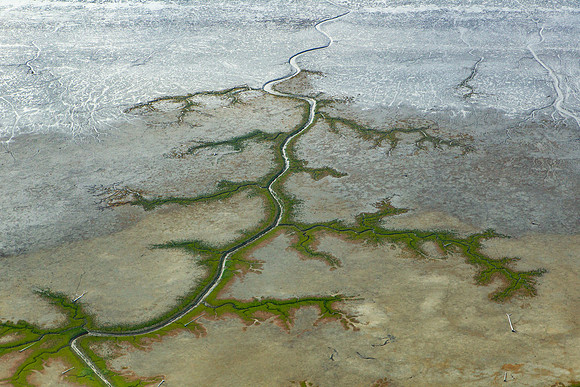 22.6 MB, 4896 x 3264: Rivers and inlets cut through the barren tundra in Alaska