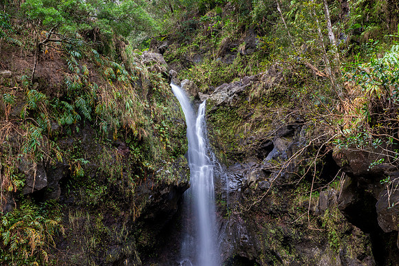 21.9 MB, 5184 x 3456: Tropical waterfall on the island of Maui, Hawaii.