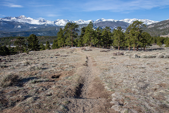 25.0 MB, 5184 x 3456: A single track trail descends into the trees and valley in front of snow covered mountain peaks.