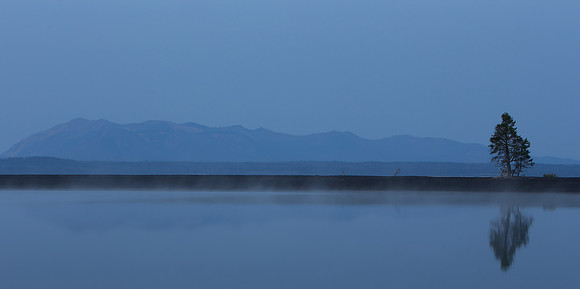 3.59 MB, 4431 x 2212: A solitary lonely pine tree reflecting on a misty Yellowstone Lake while mountains loom in the background in Yellowstone National Park.