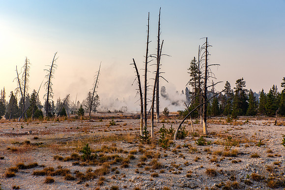 20.4 MB, 5184 x 3456: Desolate Landscape in Yellowstone National Park