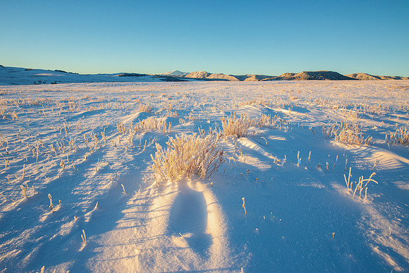 19.0 MB, 5184 x 3456: The early morning light on the snow covered and wind swept prairie.