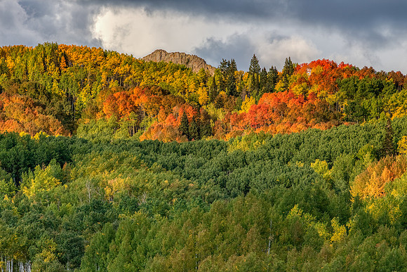 21.8 MB, 5184 x 3456: Red, orange, yellow and green aspen tree leaves while an autumn storm forms overhead.