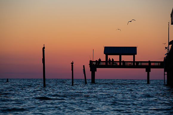 16.7 MB, 5760 x 3840: Silhouettes of birds, people, and Pier 60 against a red and orange sky.