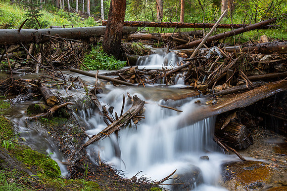 24.7 MB, 5760 x 3840: Mountain stream cascades over and through downed trees