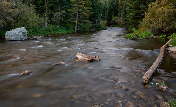 16.0 MB, 5760 x 3502: A mountain stream runs through a green pine forest.