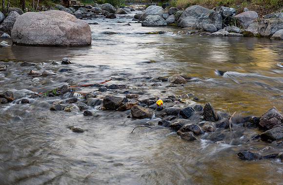 11.4 MB, 4404 x 2874: A lone rubber yellow duck with an orange bill stuck on rocks in a flowing mountain stream