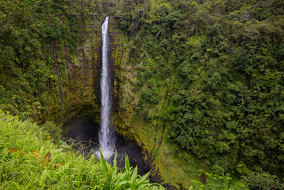 28.9 MB, 5609 x 3739: Akaka Falls rushes over a large lush vegetation covered green cliff.