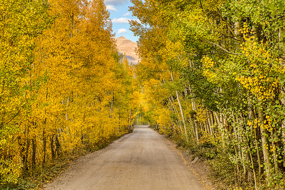 40.0 MB, 6720 x 4480: Dirt and gravel mountain road flanked by yellow and golden aspen leaves.