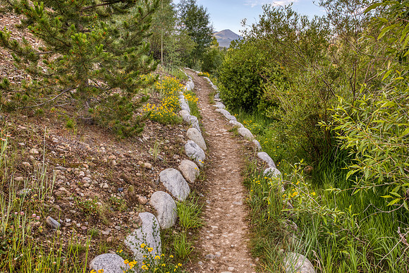 38.5 MB, 6720 x 4480: Single Track Path