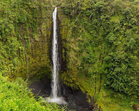 Grand Ribbon of Water: 442 foot ‘Akaka Falls