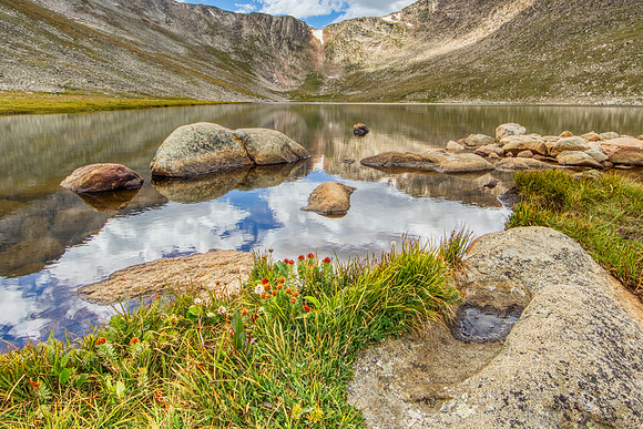 Mountain Lake Color: Summit Lake Flowers