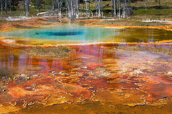 Water Hole Color: Pool at Chain Lakes
