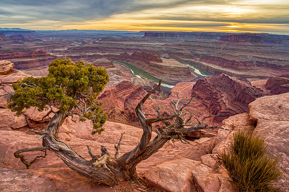 Breathtaking Perspective: Dead Horse Point