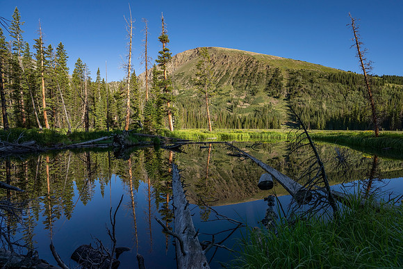 39.9 MB, 8709 x 5806: Mountain Pond Reflections